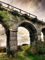 paysage 05_02_2011n02bis3